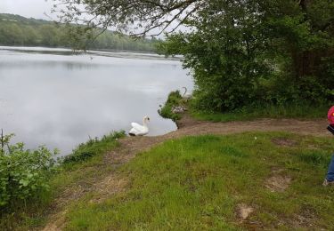 Tocht Stappen Saint-Julien-du-Sault - saint julien du Sault/La Maladrerie - Photo