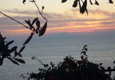 Percorso A piedi Sorrento - Sentieri lubrensi - Photo