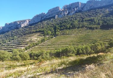 Tocht Stappen Gigondas - les antennes de montmirail - Photo