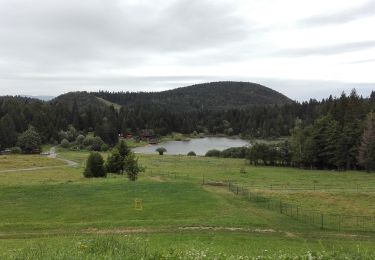 Excursión A pie okres Brezno - Medveďou cestičkou (kratšia) - Photo