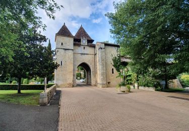 Trail Walking Cazaubon - Boucle Barbotan - Nord Est - Photo