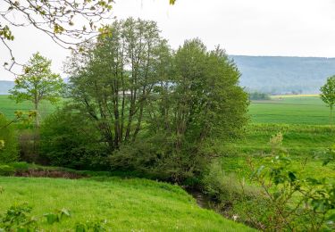 Randonnée A pied Lügde - Wanderweg Dreieck Nach Elbrinxen - Photo