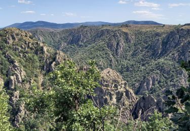 Tocht Stappen Pourcharesses - au coeur des gorges du chassezac au départ de Villefort  - Photo