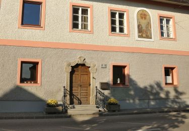 Tocht Te voet Wolfern - Wanderweg Hagleiten - Photo