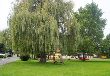 Tour Zu Fuß Straß in Steiermark - Mur-Grenzweg - Photo