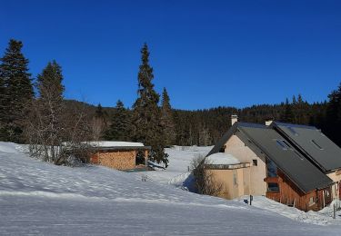 Tour Wandern Autrans-Méaudre en Vercors - La Cheminée - Photo