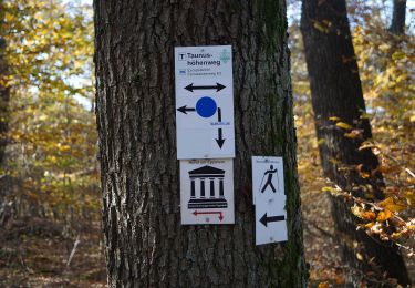 Tocht Te voet Eppstein - Rund um Eppstein - Photo