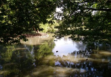 Excursión Senderismo Tours - Tours - 6.7km 40m 1h20 - 2017 03 26 - Photo