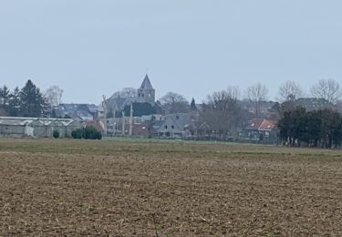 Tocht Stappen Meise - 20230129 Wolvertem 7 km - Photo