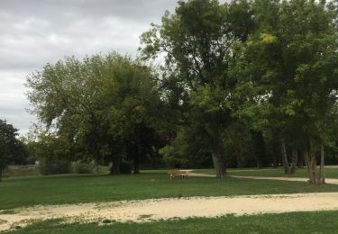 Excursión Senderismo Souppes-sur-Loing - Souppes sur Loing 27/09/2019 - Photo