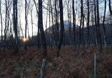 Trail Walking Orcines - AU PIED DU PUY DE DOME - Photo