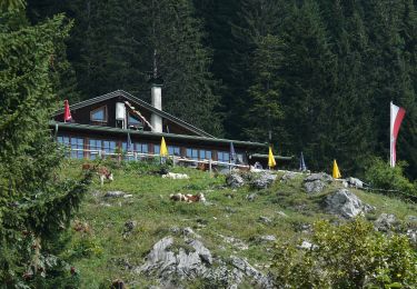 Percorso A piedi Gemeinde Ebbs - KOASA-Halbmarathon - Photo