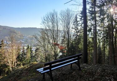 Tour Zu Fuß Warmensteinach - Warmensteinach Rundwanderweg Nr. 2 - Photo