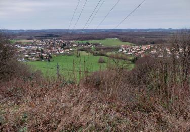 Trail Walking Les Auxons - auxons 31 12 22 - Photo