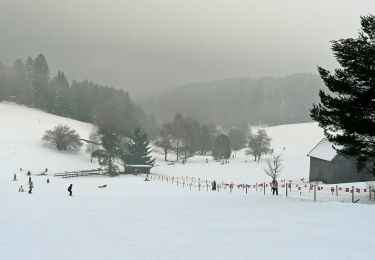 Trail On foot Grömbach - Nagoldtal - Simmersfeld - Photo