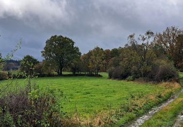 Excursión Senderismo Durbuy - Marche ADEPS IZIER 2023 - Photo