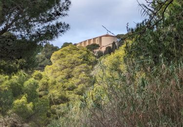 Excursión Senderismo Gruissan - La Clape - La Chapelle des Auzils - Photo