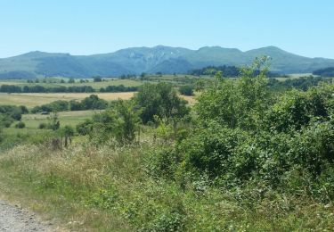 Percorso Mountainbike Le Vernet-Sainte-Marguerite - Saigne Lac Chambon - Photo