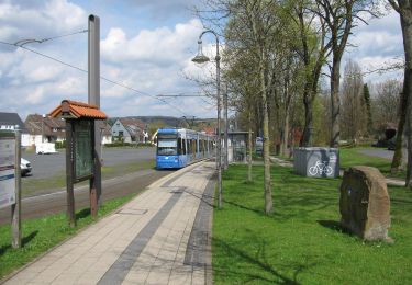 Percorso A piedi Hessisch Lichtenau - Rundwanderweg Hessisch Lichtenau HL5 - Photo