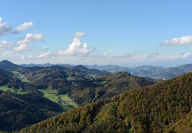 Percorso A piedi Gemeinde Hainfeld - Hainfeld - Hainfelder Hütte - Adamstal - Photo