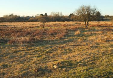 Tocht Te voet  - Farm Trail - Photo