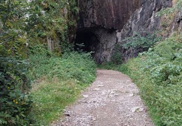 Trail Walking Metzeral - lac du fischboedle - Photo