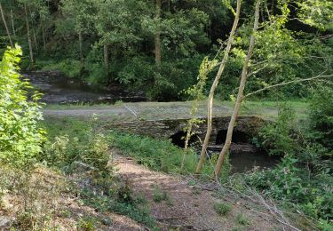Trail Walking Vresse-sur-Semois - Nafraiture  - Photo