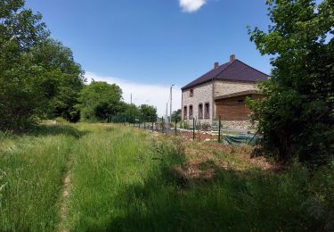 Trail Walking Momignies - Macquenoise 170621 - Photo