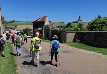 Tocht Stappen Les Sièges - 210613 Les Sièges  - Photo