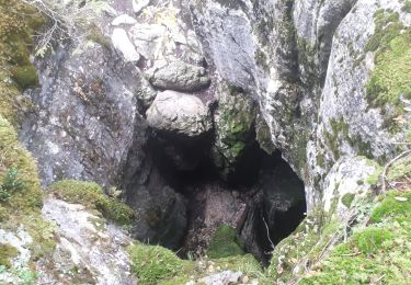 Tocht Stappen Autrans-Méaudre en Vercors - Gouffre Berger - Photo