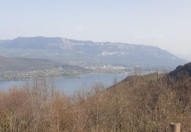 Percorso Mountainbike La Chapelle-du-Mont-du-Chat - col du chat st pierre de curtille - Photo