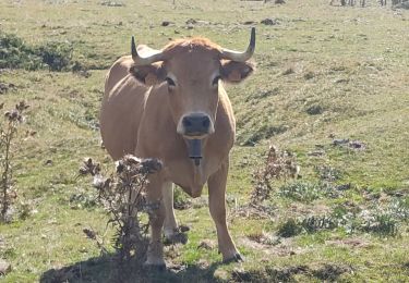 Randonnée Marche Prades - Prades 2024 - Photo