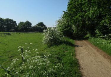 Tocht Te voet South Norfolk - Costessey Circular - Photo