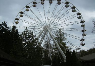 Tocht Te voet Gomadingen - Sonnenbühler Grenzgänger Weg - Photo