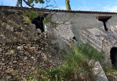 Trail Walking Nans-les-Pins - Sainte Beaume : Nans les pins  - Photo
