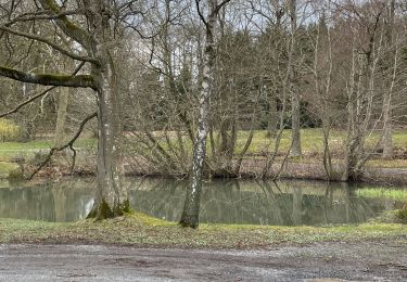 Excursión Senderismo Trooz - Bois de la walthine - Photo