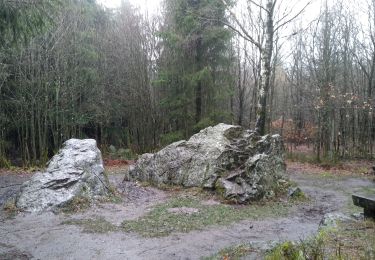 Trail Walking Eupen - Venenwandeling Nahtsief - Photo