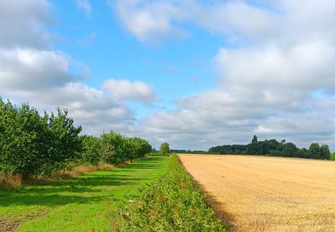 Trail Walking Eijsden-Margraten - glandouille ? non, vadrouille ! - Photo