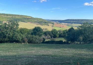 Excursión Senderismo Châteauneuf - Châteauneuf - Photo