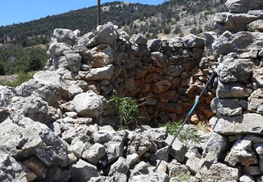 Percorso A piedi  - Agios Ioannis-Aradena - Photo