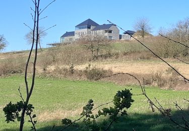 Tour Wandern Havelange - maquis - Photo