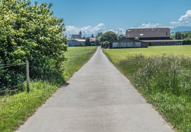 Trail On foot Beromünster - Gormund - Weier - Neudorf - Photo