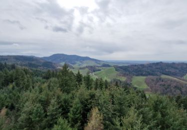 Tocht Stappen Oberkirch - 2024 - Oberkirch Brennersteig  - Photo