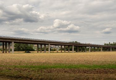 Randonnée A pied Eltmann - Rundweg Eltmann - Photo