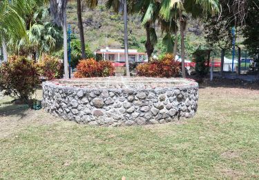 Tour Wandern Les Anses-d'Arlet - Les Anses d'Arlet - Photo