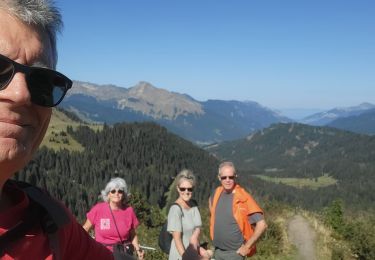 Tocht Stappen Verchaix - Col de joux plane - Photo