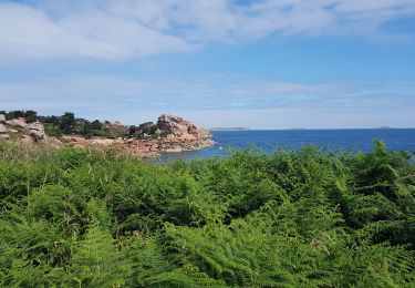 Trail Walking Perros-Guirec - la côte de granit rose à Ploumanach - Photo