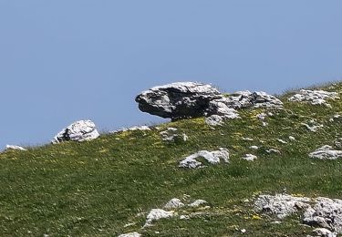 Randonnée Marche Bouvante -  Font d'Urle: le sentier du karst - Photo