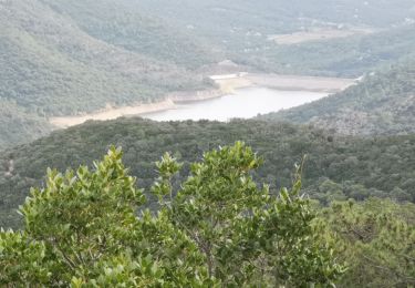 Tour Wandern Collobrières - la chartreuse de la verne - Photo