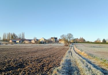 Trail Walking Dhuys et Morin-en-Brie - Fontenelle-en-Brie du 12-01-2022 - Photo